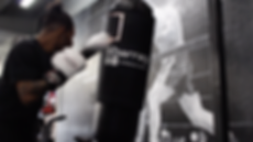 Screen Shot 2019-04-09 at 12.23.07 PM.pn